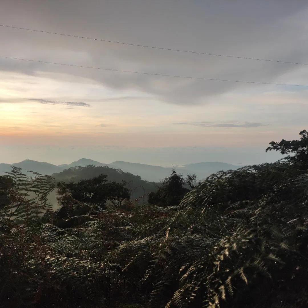 Hotel Y Restaurante Mirador Aires De La Sierra, Minca Kültér fotó
